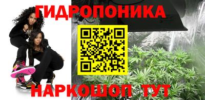 a pvp Краснодар
