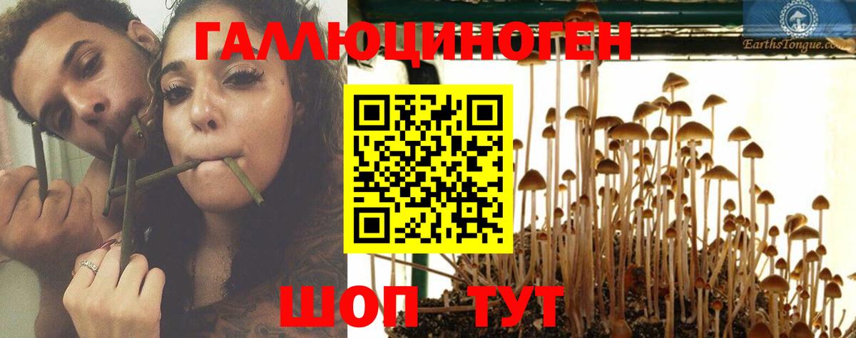 Чусовой  Псилоцибиновые грибы ЛСД  Псилоцибиновые грибы Psilocybine cubensis  Вход с VPN 